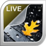 rain live wallpaper android application logo